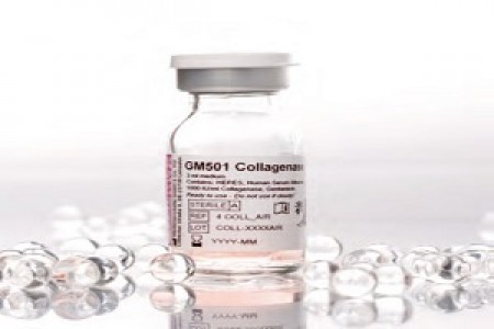 Môi trường tiêu mô tinh hoàn (GM501 COLLAGENASE)